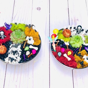 May include: Two Halloween-themed succulent arrangements in round metal containers. Each features a central succulent surrounded by colorful moss, decorative skulls, skeletons, and other spooky accents. The arrangements sit on a white wooden surface.