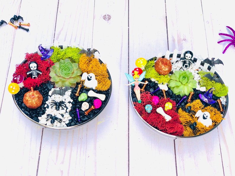 May include: Two Halloween-themed succulent arrangements in round metal containers. Each features a central succulent surrounded by colorful moss, decorative skulls, skeletons, and other spooky accents. The arrangements sit on a white wooden surface.