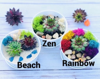 DIY Craft, Craft Kits for Adults, Personalized Gift, DIY Terrarium Kit Succulent Terrarium, Home Decor Craft Kit, Do It Yourself