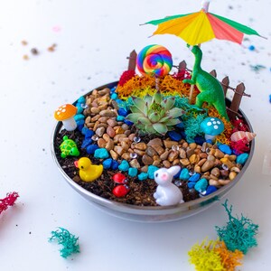 May include: A miniature fairy garden in a silver bowl with a rainbow succulent, a green dinosaur, a lollipop, a mushroom, a turtle, a duck, a rabbit, and a colorful umbrella.