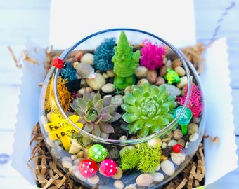 Gnome Garden Kit - Friend Gift Box - Terrarium Kit - Succulent Gift - Fairy Gift - Gnome Gift