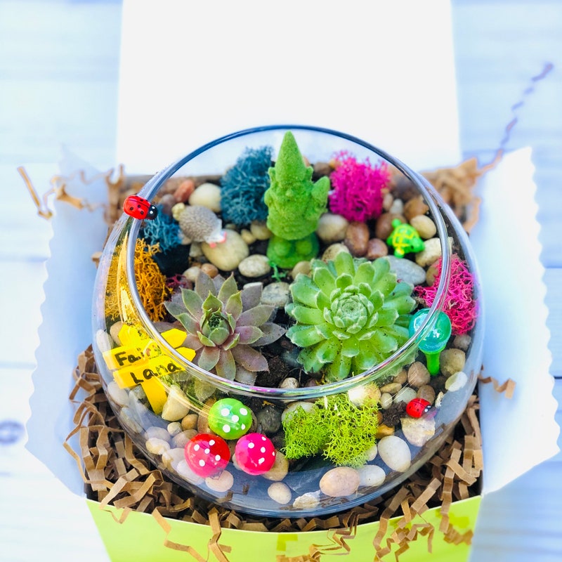 Open Air Kit - Etsy