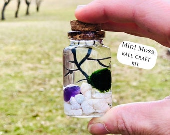 Crystal Terrarium, Crystal Planter, Mini Enclosed Ecosystem, Moss Ball Kit, Aquascape Kit, Mini Moss Terrarium, Live Moss Kit