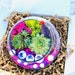 see more listings in the Terrarium Kits section