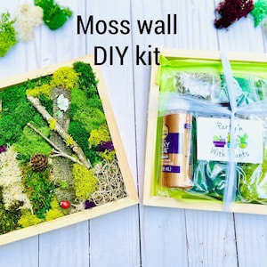 May include: A DIY moss wall kit in a wooden frame. The kit includes preserved moss, a bottle of adhesive, and instructions. The moss is a variety of green shades and textures. The kit is packaged in a clear plastic bag with a green and white label that says "Party'n With Plants".