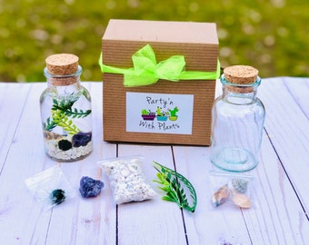 Amethyst Crystal Terrarium, Amethyst Moss Ball, Moss Plant Gift Box, Live Moss Kit, Java Moss Kit, Amethyst Gift Box, Amethyst Craft kit