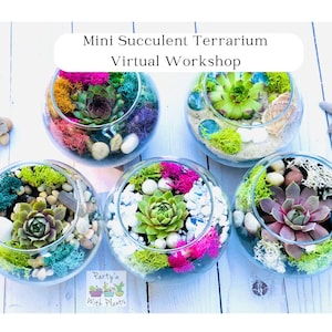 May include: Five mini succulent terrariums in clear glass bowls with various colored sand, rocks, and moss. The terrariums are arranged on a white wooden surface. The text "Mini Succulent Terrarium Virtual Workshop" is displayed above the terrariums.