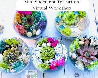 Virtual Succulent Terrarium Workshop Kit: Live Host, Team Building