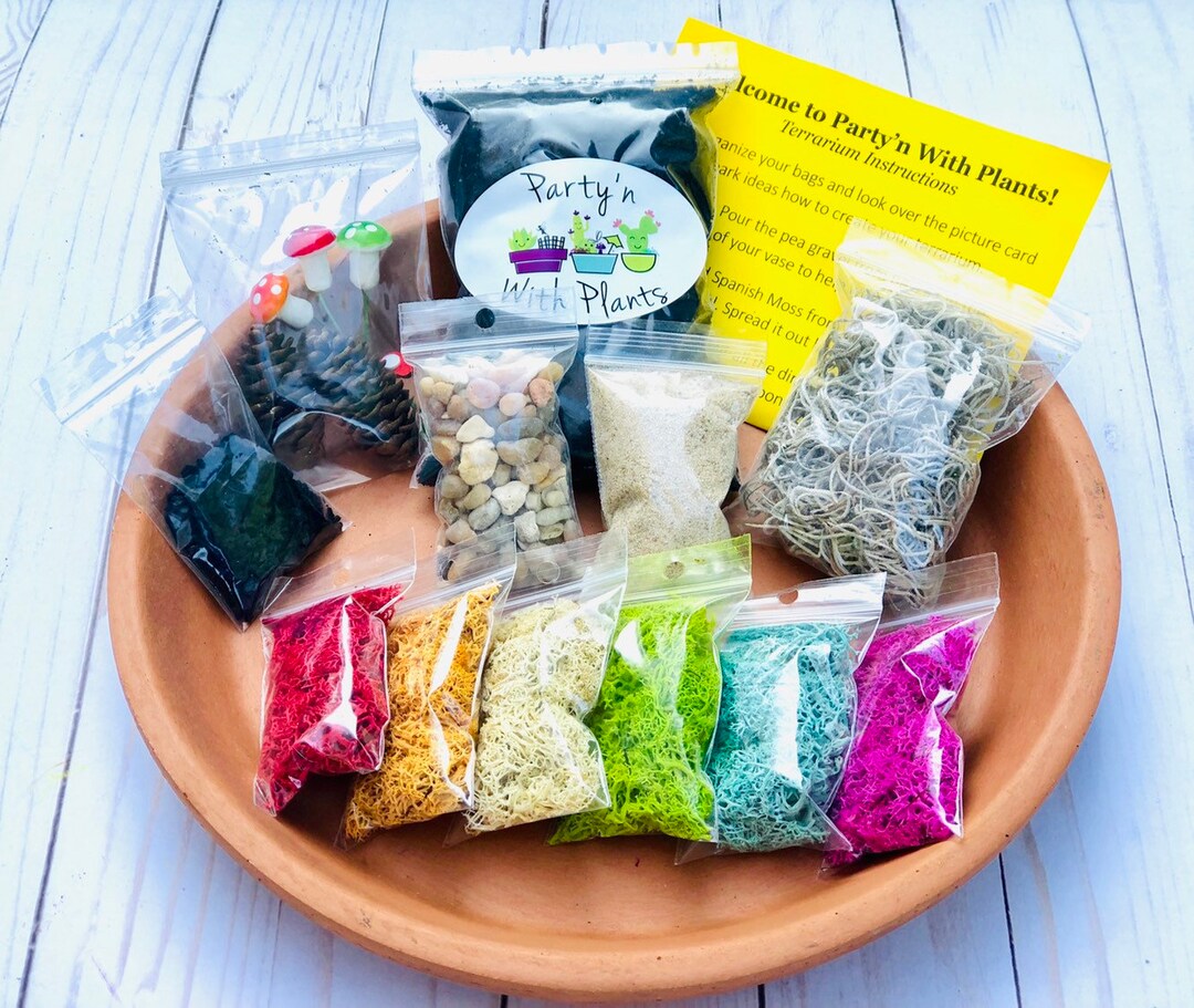 DIY Terrarium Supplies Kit, Reindeer Moss, Woodland Supplies, Use Your