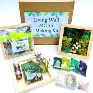 Living Wall Making Kit, Art Craft Kit, Teenager Craft kit, Moss Wall Kit, Flower Craft kit, Floral Kit, Team Craft Activity, Adult Craft Kit