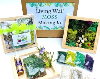 Living Wall Making Kit, Art Craft Kit, Teenager Craft kit, Moss Wall Kit, Flower Craft kit, Floral Kit, Team Craft Activity, Adult Craft Kit