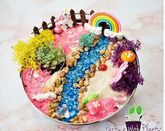 Unicorn Fairy Garden, Succlents, Fairy Garden Kit, Succulent, Unicorn Craft, Unicorn Birthday Party, Unicorn gift, Unicorn Garden kit, Pony
