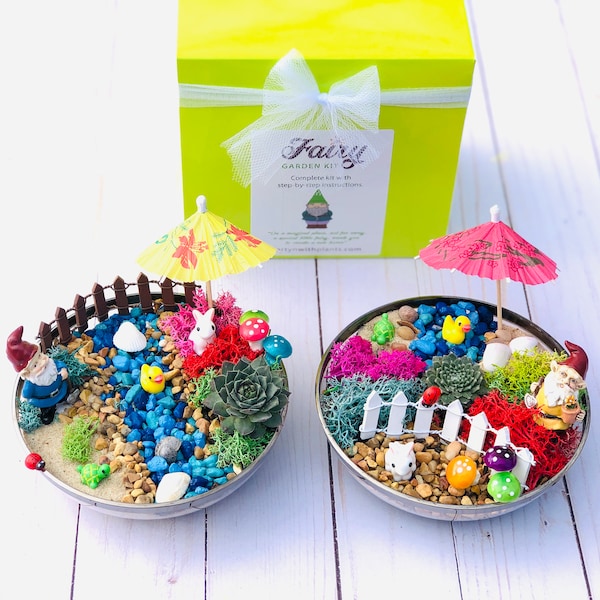 Gnome Fairy Garden Kit, Gnome Craft Kit, Gnome Terrarium, Succulent, Gnome Lover Gift, Gnome Garden