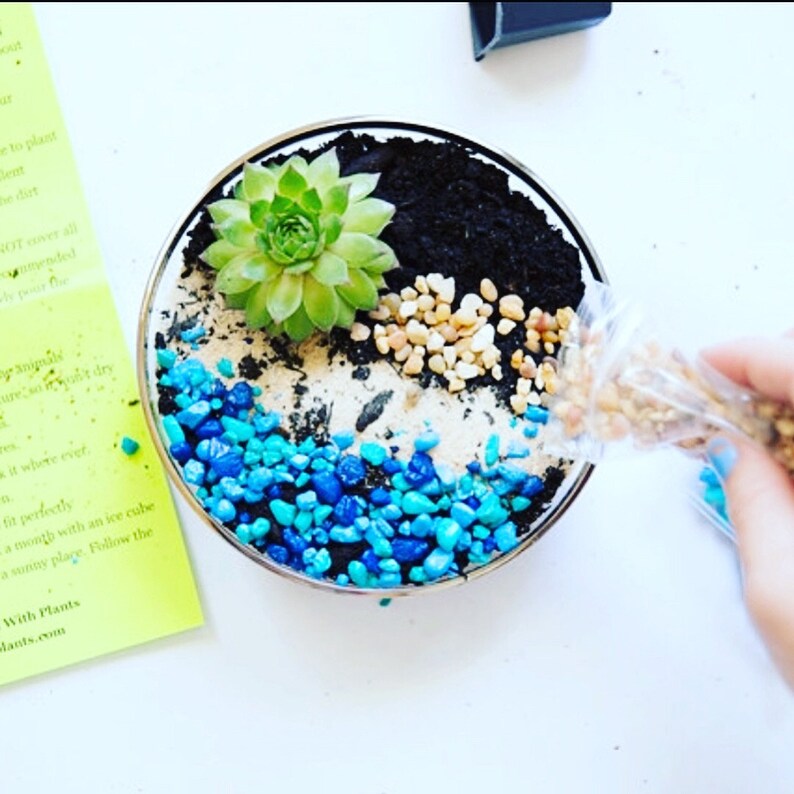 May include: A succulent plant in a glass container with black soil, white sand, and blue and beige decorative stones. A hand is pouring beige stones from a plastic bag into the container.