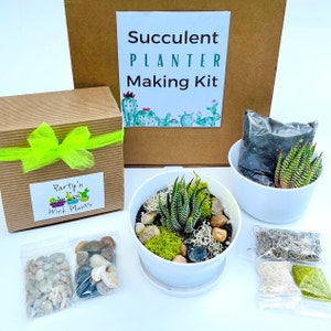 Plant Succulent Making Kit, Corporate Gift Box, Plant Gift Box, Small Succulent Kit, Making kit