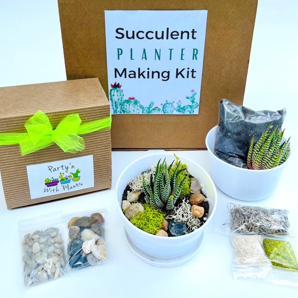 Plant Succulent Making Kit, Corporate Gift Box, Plant Gift Box, Small Succulent Kit, Making kit