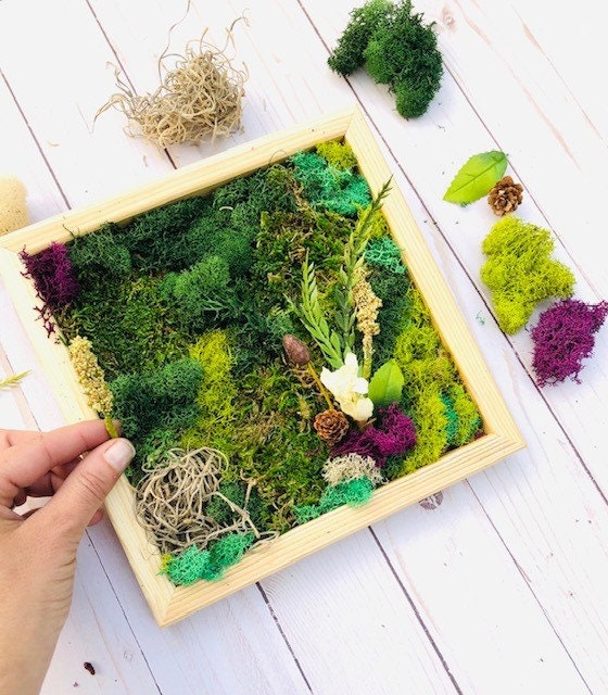 DIY Moss Wall Art Kit: Teen/kids Craft Set, Home Decor - Etsy DIY Moss Wall Art Kit: Teen/kids Craft Set, Home Decor - Etsy