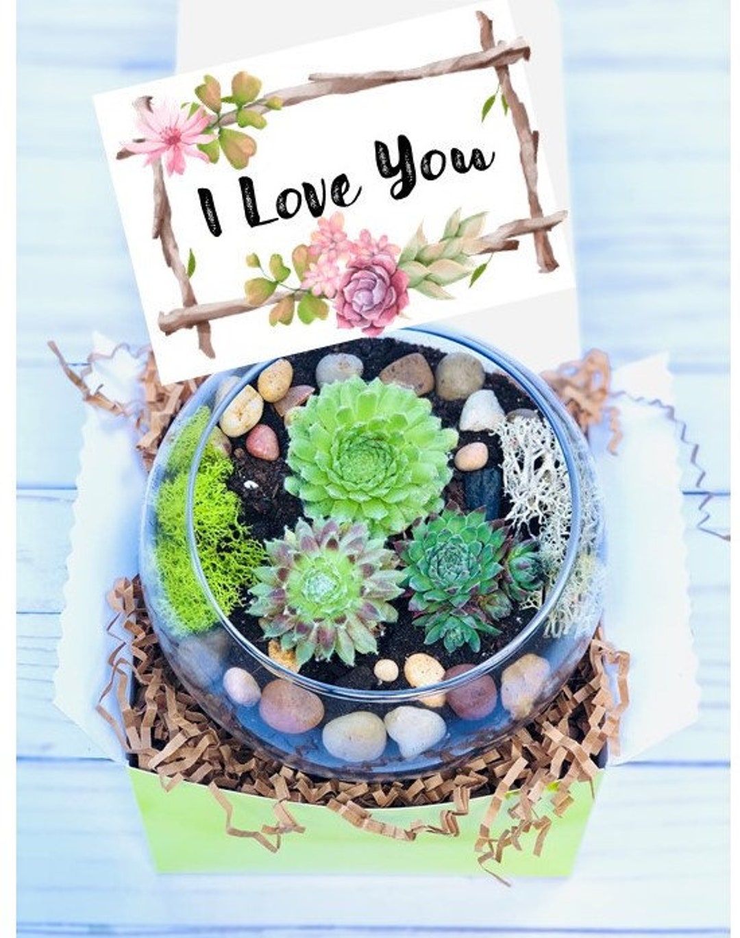 I Love You Gift Box, Succulent Gift Box, Friend Gift Box, Love Plant