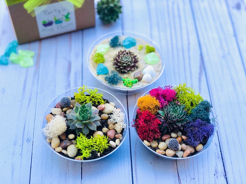 Plant Party Favors Baby Shower Wedding Favors Corporate Etsy