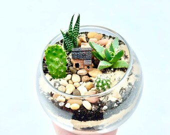 DIY Desert Terrarium Kit: Succulents, Cacti, Glass Bubble Vase
