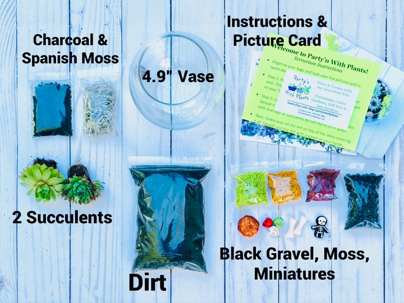 May include: A terrarium kit with all the supplies needed to create a miniature garden. The kit includes a 4.9 inch glass vase, charcoal, Spanish moss, two succulents, dirt, black gravel, moss, and miniature figurines. The kit also includes instructions on how to create the terrarium.