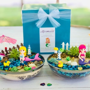 May include: Two mermaid themed terrarium kits with a clear glass bowl, sand, small plants, and figurines. The kits are packaged in a teal box with a white bow and the text "Mermaid Garden Kit".
