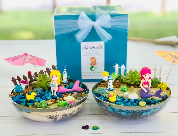 Mermaid Fairy Garden, Kids Indoor Plant Kit: Live Plant Fairy Garden, Kids Craft kit, Mermaid Craft, Mermaid Gift Idea, Mermaid Planter