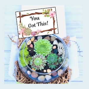 College Planter Kit - You Got This Gift