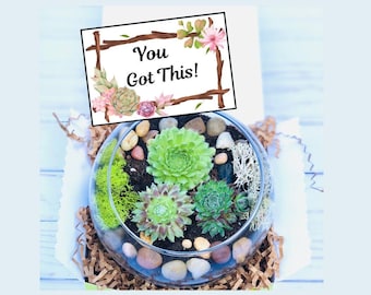 College Planter Kit - You Got This Gift