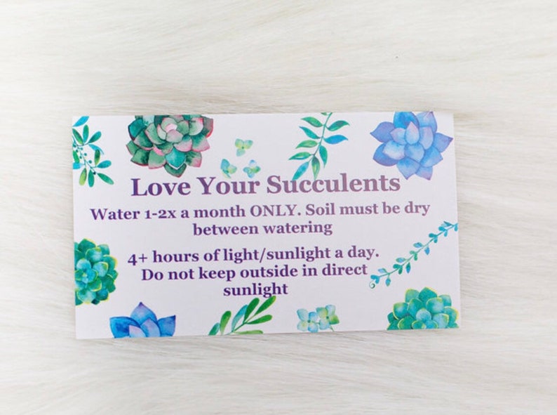 Plant Party Favors Baby Shower Wedding Favors Corporate Etsy