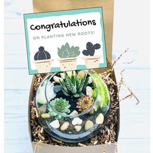 Congrats on Planting New Roots, Succulent Gift Box, Moving Gift, New Job, Promotion Care Package, New Home, New Apartment image 1