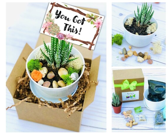 Going away to college gift basket 2025