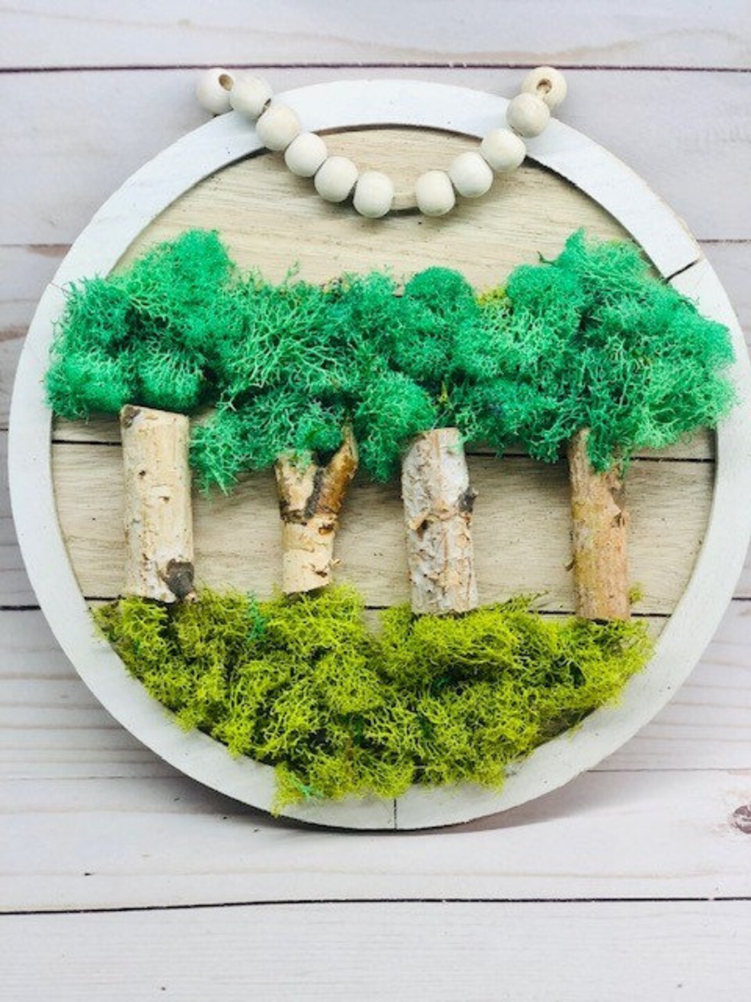 DIY Moss Wall Art Kit, Make Your Own Moss Art, Preserved Moss Art