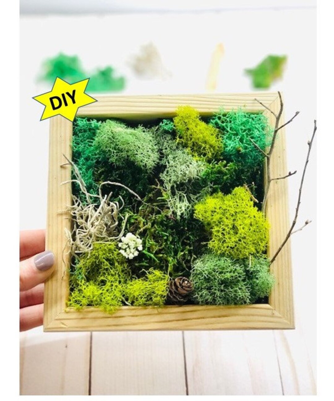 DIY Moss Art Kit Team Building Craft Kit Make Your Own Moss Etsy