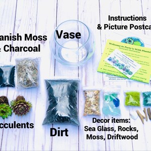Sea Glass & Driftwood Terrarium kit, Succulent Gift Box, Cactus Terrarium Kit, DIY Glass Terrarium, Terrarium Gift, DIY Plant kit image 3