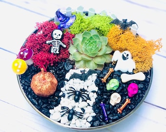 Halloween Fairy Garden Kit, Kids Halloween Craft, Halloween Fairy, Succulent Fairy Garden, Halloween Gift for kids
