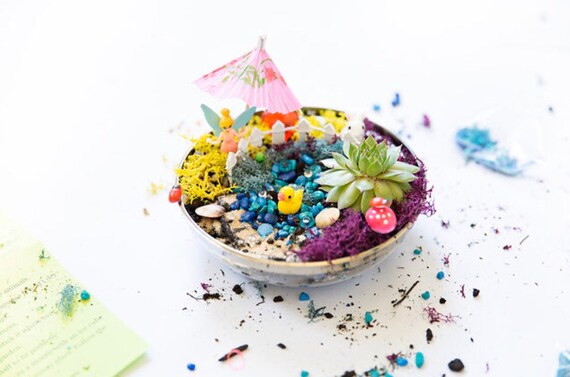 Succulent Plant Fairy Kit Fairy Garden Container Diy Fairy Etsy