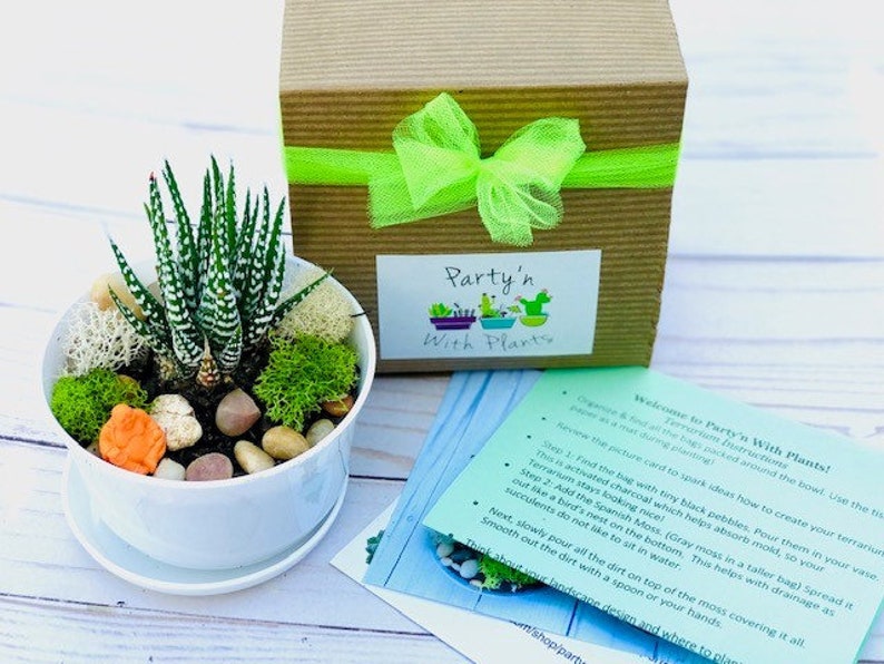 Happy Birthday Gift set Plant Lover Birthday Gift, Succulent gift box Friend Gift Box birthday gift for friend Birthday Care Package image 2