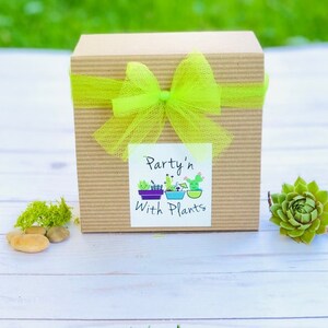 May include: A brown box with a green tulle bow and a white label that says "Party'n With Plants".