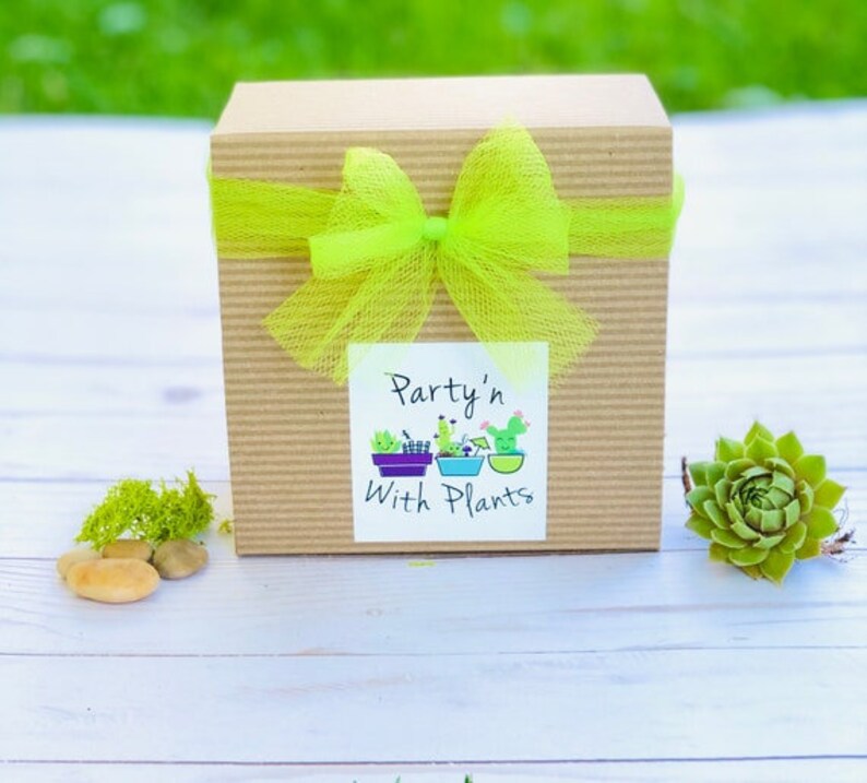 May include: A brown box with a green tulle bow and a white label that says "Party'n With Plants".