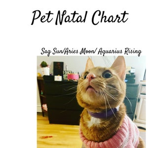 Pet Natal Chart Reading
