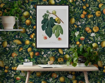 Blush Citrus Garden Wallpaper, Dark Botanical Wallpaper with Lemons and Oranges Fruits, Peel and Stick Wall Paper Decal