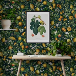 Blush Citrus Garden Wallpaper, Dark Botanical Wallpaper with Lemons and Oranges Fruits, Peel and Stick Wall Paper Decal