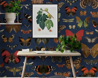 Dark Moths Butterfly Wallpaper, Dark Academia Butterfly Bees Wall Paper with Beetles, Insects and Dragonfly, Dark Blue Dramatic Wall Sticker