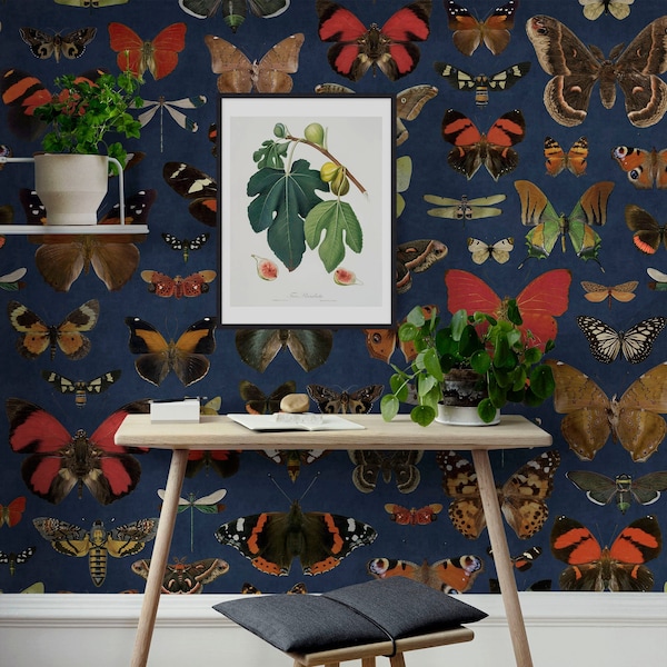 Moth Wallpaper Etsy
