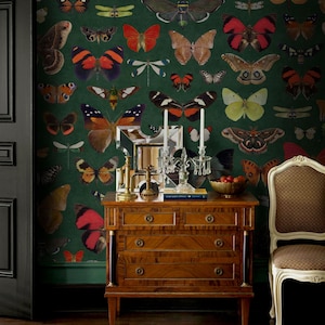 Motten Schmetterling Tapete, Dunkles Smaragd Eclectic Wand-Papier mit Insekten, Bienen & Käfern, Shades of Green Schmetterlinge Wandkarte