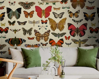 Behang met vlinders en insecten, een leuk en eclectisch behang met libellen, kevertjes, motten en bijen.