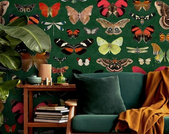 Mottenbehang, vlinderbehang, vintage eclectische insectenbehangmuurschildering