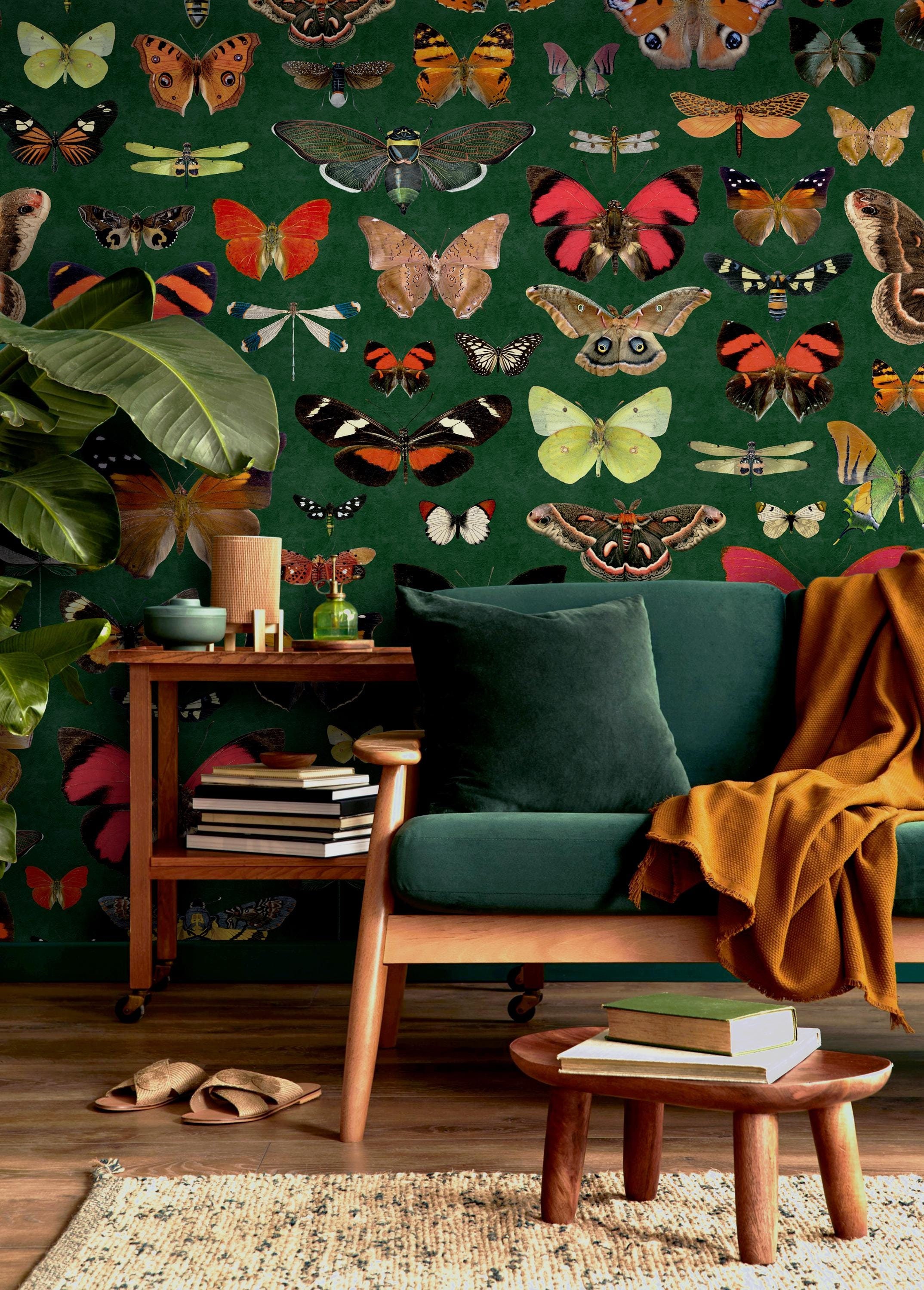 Moths Wallpaper Butterfly and Insects, Vintage Eclectic Wall Paper With ...