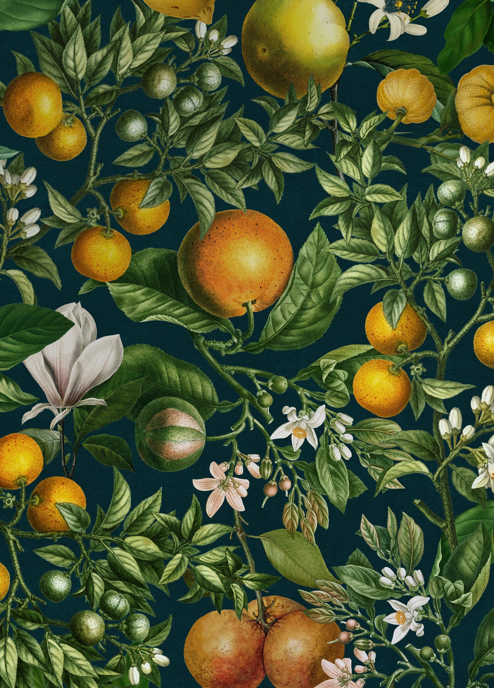 Blush Citrus Garden Wallpaper Dark Botanical Wallpaper With - Etsy